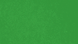 green bg background.png