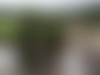 Ölsperre auf der Mur