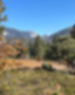 401847373_314272141391614_8171706990813799645_n.jpeg