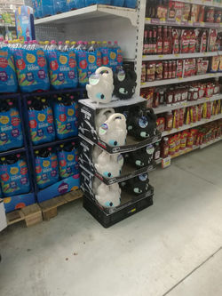 WhatsApp Image 2018-12-21 at 11.31