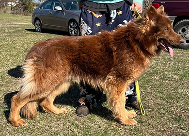 Kovu
