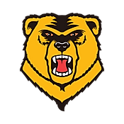 Western New England University