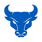 University of Buffalo
