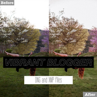vibrant%20presets.001.jpeg