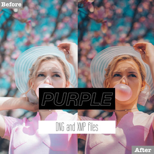 purple%20presets.001.jpeg