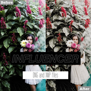 influencer%20presets.001.jpeg