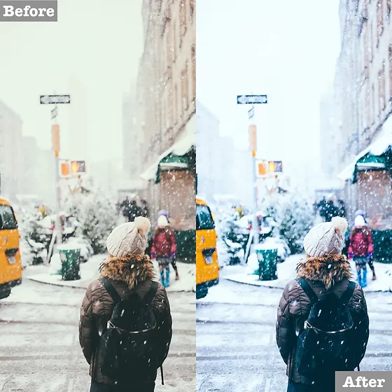 Download Free Winter Lightroom Presets