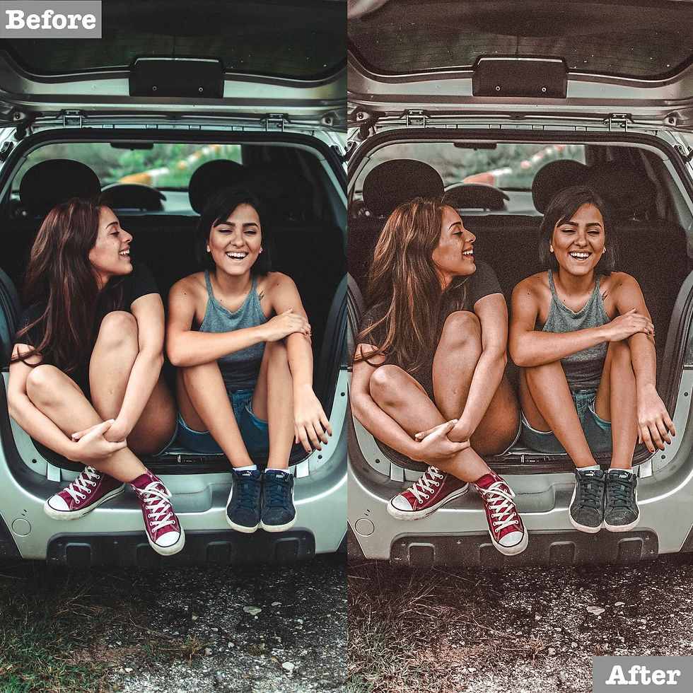 Brown Blogger Lightroom Presets