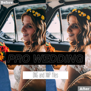 pro%20wedding%20presets.001.jpeg