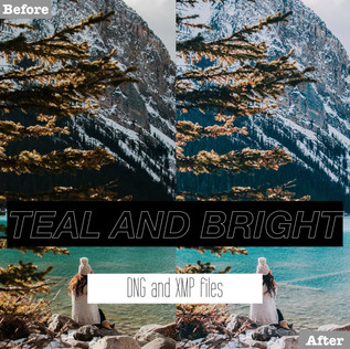 teal%20n%20bright%20presets.001.jpeg