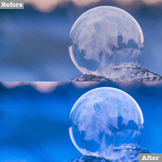 Download Free Winter Lightroom Presets
