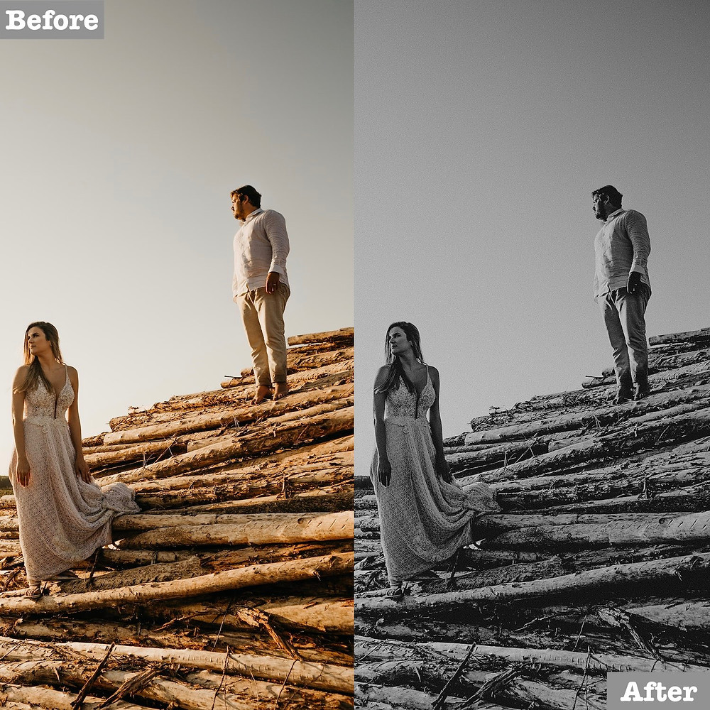 Black and White Lightroom Presets