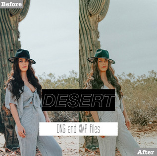 desert%20presets.001.jpeg