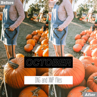 october%20presets.001.jpeg