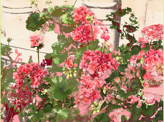 Flowers Collage.png