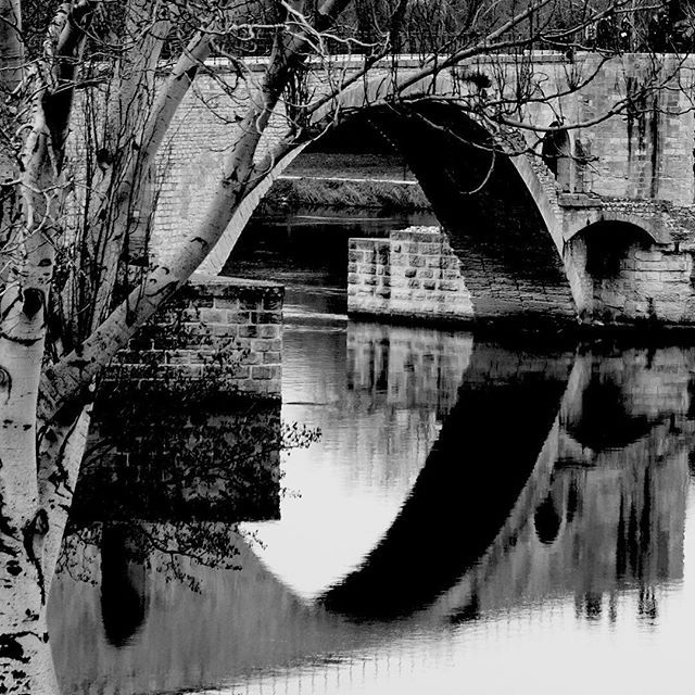 Under the Pont D'Avignon