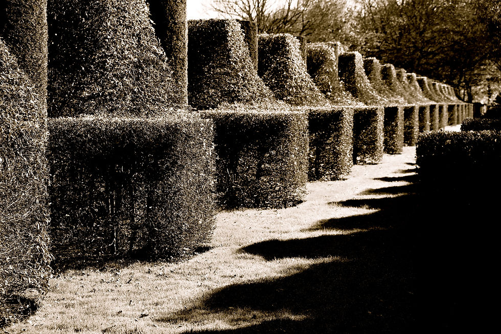 Topiary Allée