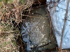 Sewage Flooding 