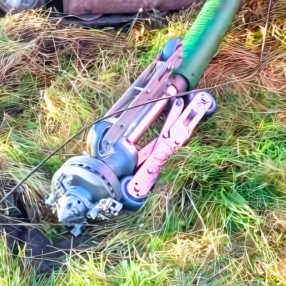 Specialist Root Cutter Aberdeen and Aberdeenshire