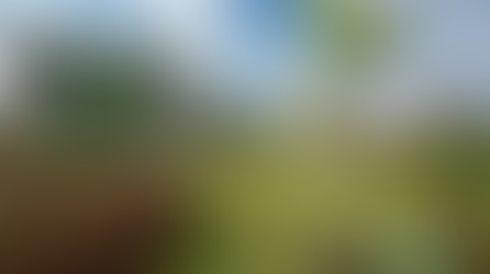 Diretores da Suprema são agraciados com Título de Cidadão Trirriense