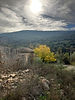 IMG_5896.jpeg