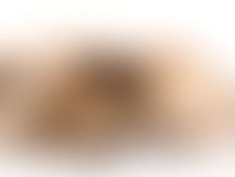 2025 11/28 聆聽毛小孩，建立親密連結工作坊  跟坊間動物傳心術或是動物溝通有什麼不同?(影片可回看至2025/12/28)