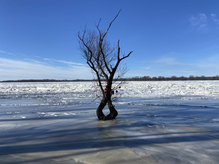體驗無所事事的生活
