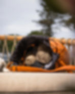 Ingrid Project Bag für Strick- und Häkelprojekte