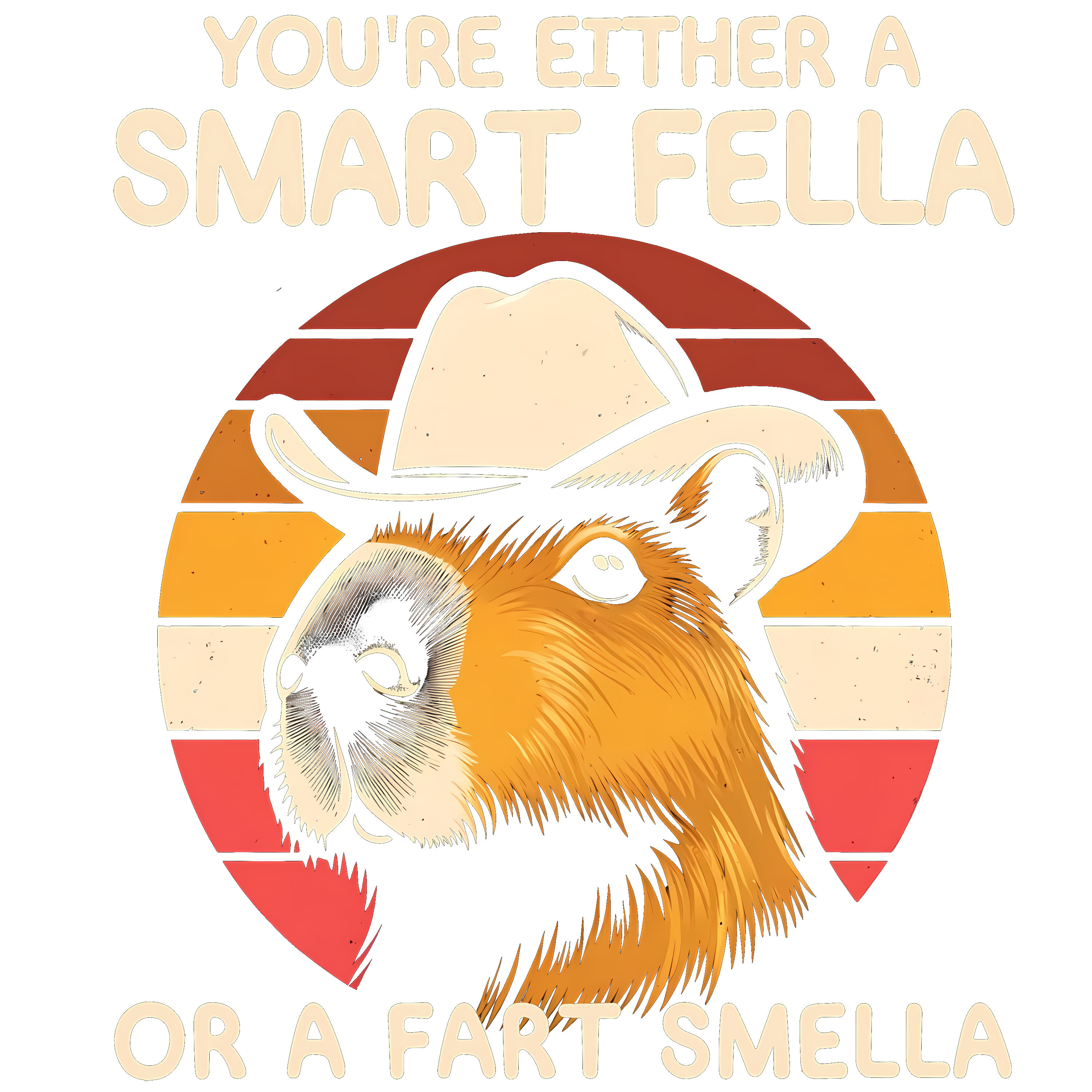 Smart fella DTF