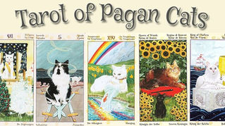 Getting To Know Tarot of Pagan Cats