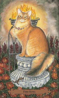 The Mystic Cat Cards - Theme of the Week