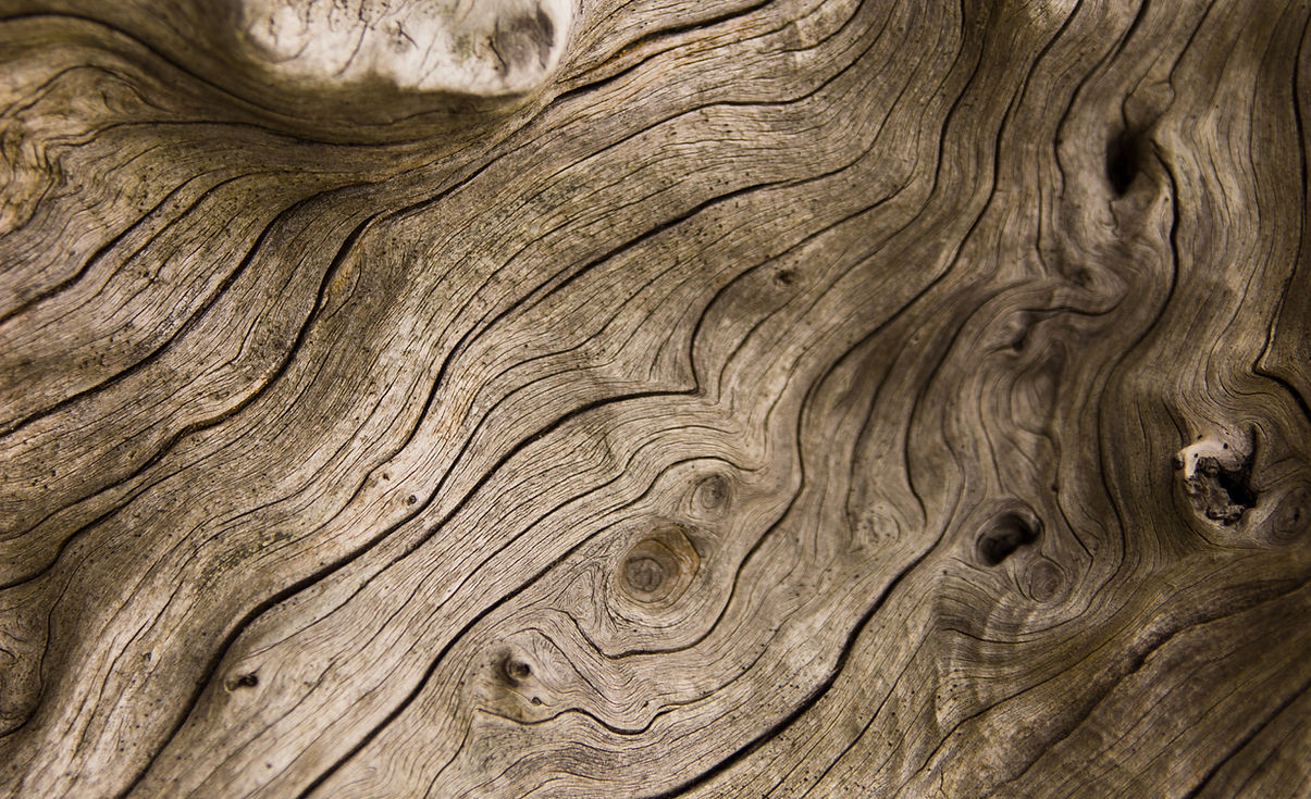 AdobeStock_222554896_resized_edited.jpg