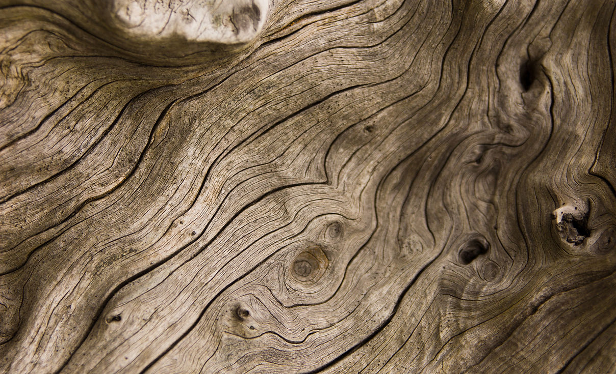 AdobeStock_222554896_resized_edited.jpg