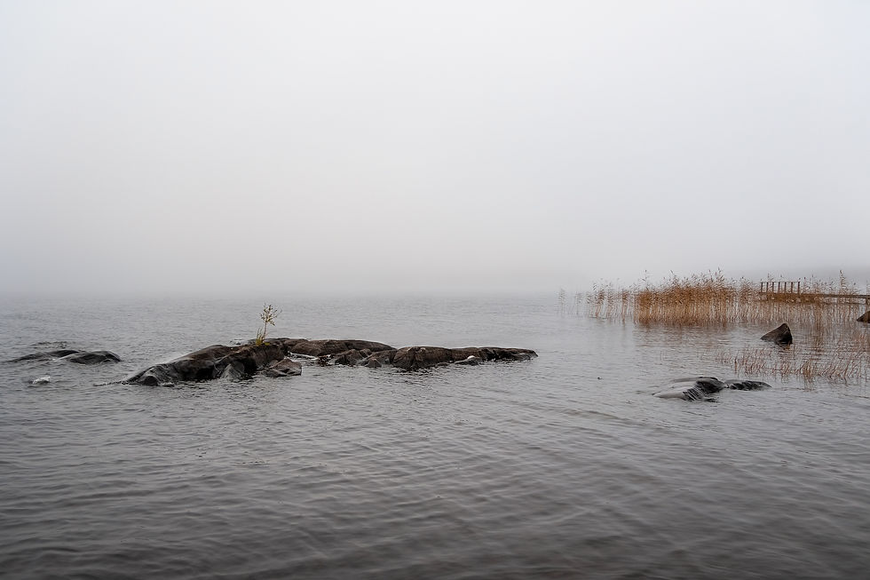 Kolmikallio_aamu-usva-5.jpg