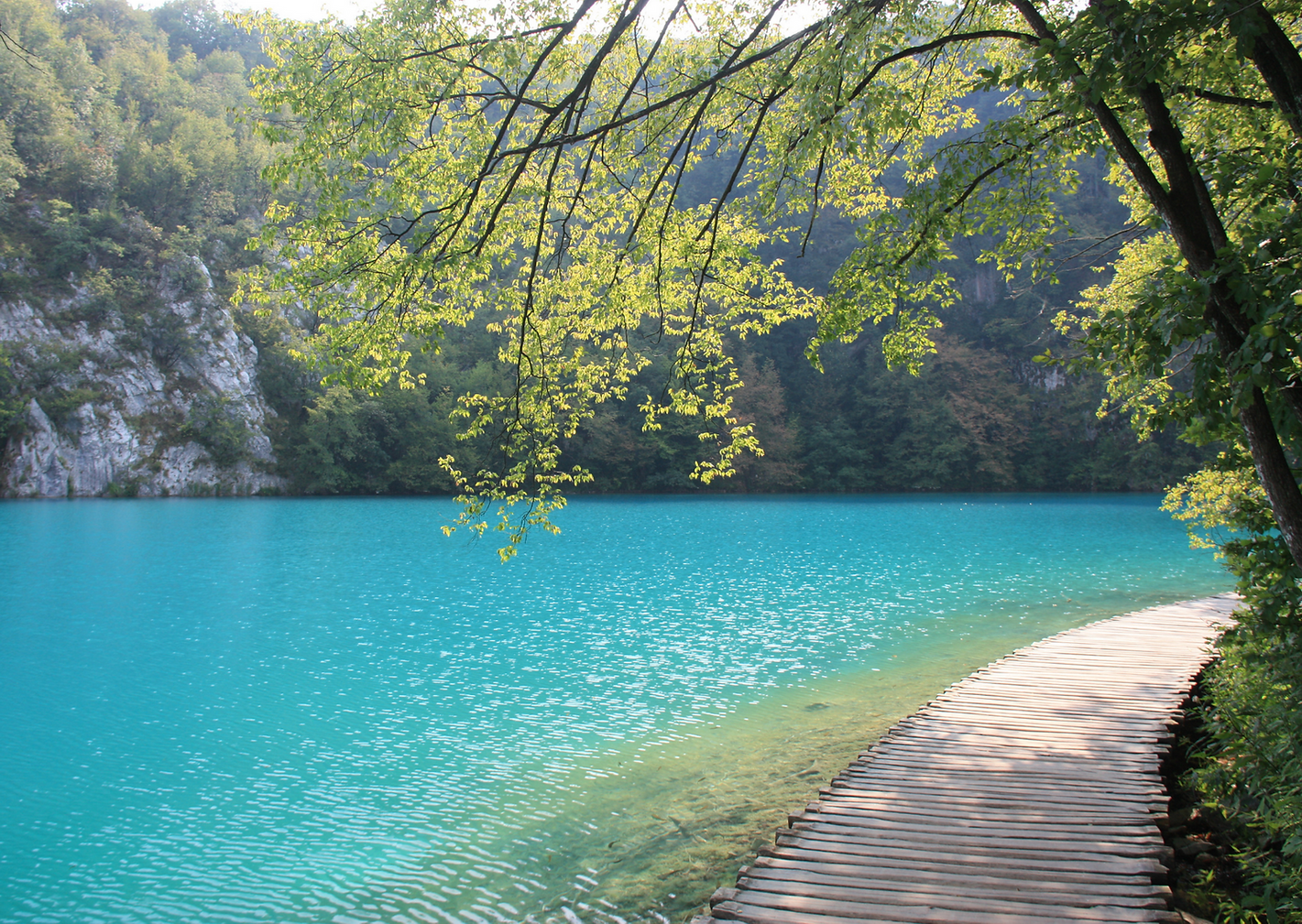 Image de fond - Charte graphique Sophrologie.png