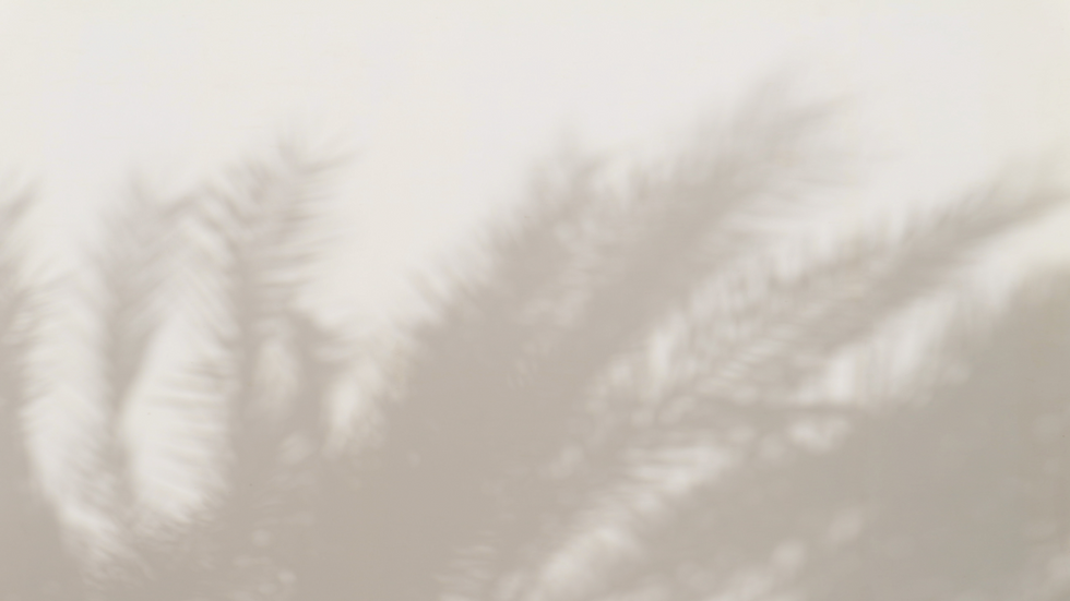 bg image.png
