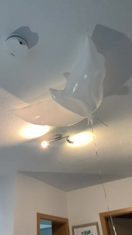 Miniaturbild: Helium Ballons Taube XXL 