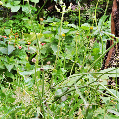 Problemas éticos en la vida cotidiana