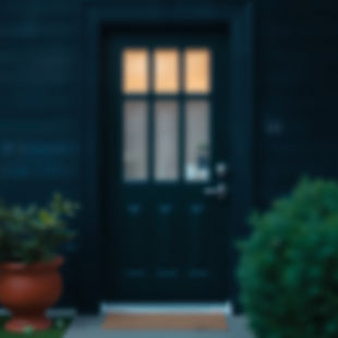 Dark colours of door of a house blurry.jpg