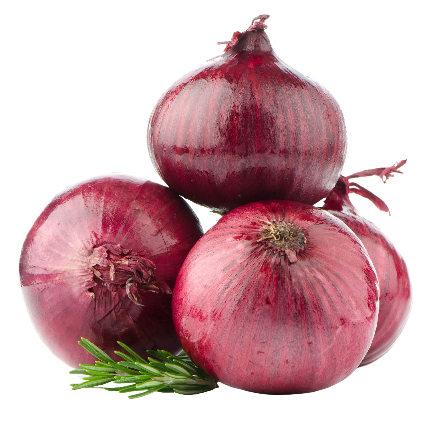 Red Onion (each)