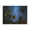 Thumbnail: Matte Canvas, Stretched, 0.75" Starry night Tropical