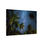 Thumbnail: Matte Canvas, Stretched, 0.75" Starry night Tropical