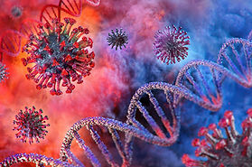 Covid Corona Virus