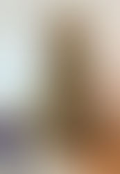 Making Spirits Bright: Holiday Cheer from Hacienda Design Studio