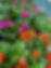 57d2c85f-3000-4e35-b920-286ffafe08e3.JPG
