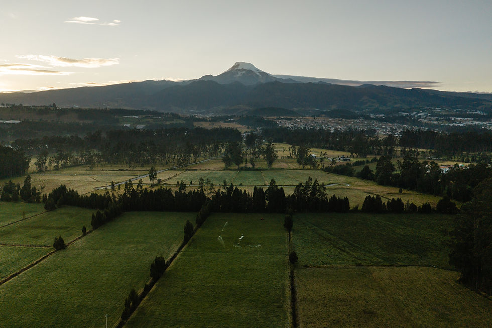 DJI_20260822062414_0097_D.jpg