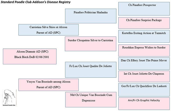 Alcron Diamair.JPG