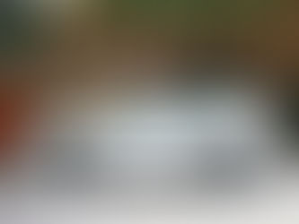 Wealth Elf’s Best Rental Car Tips