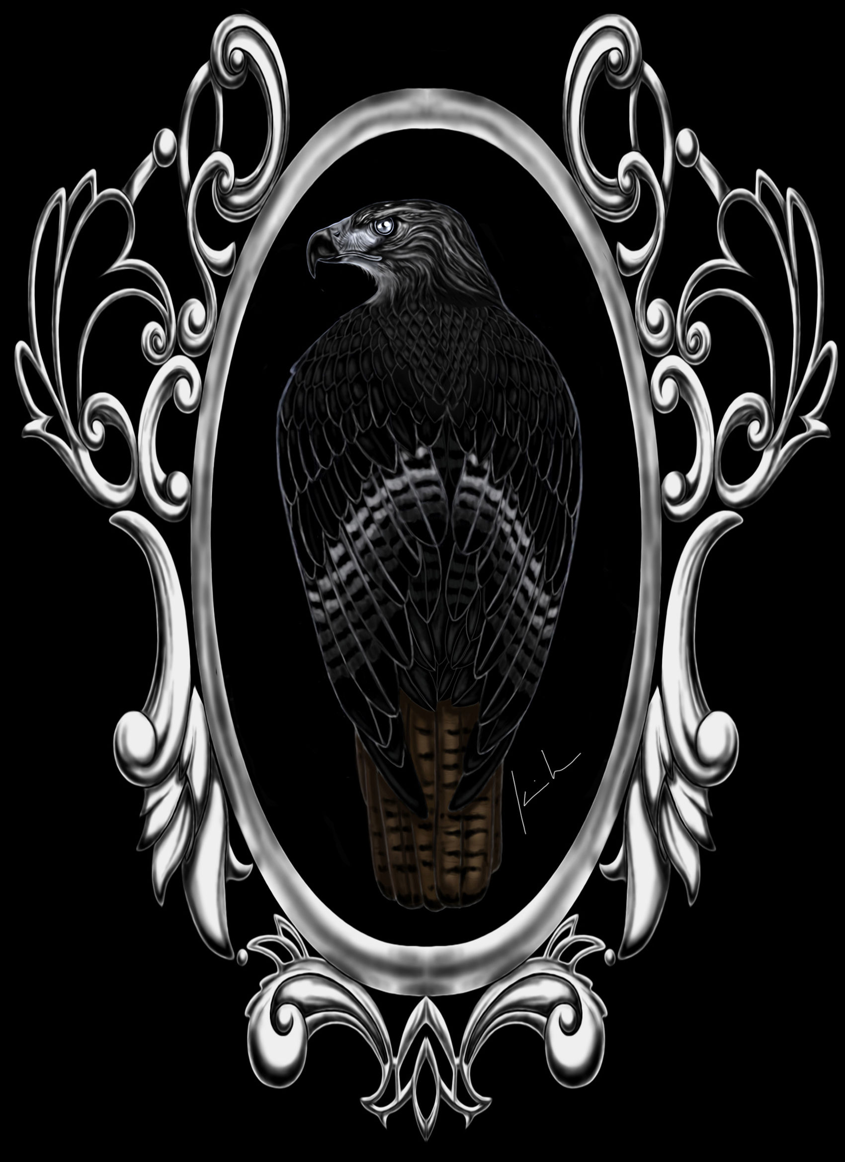 Red Tailed Hawk Mens T-Shirt