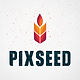 PIXSEED 3_800x800.jpg